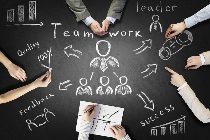 Operating Model and Sales Structure